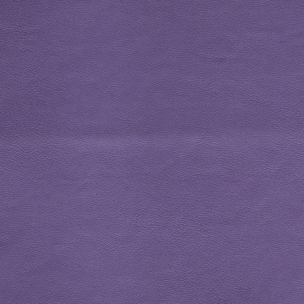 Seni-FR-Violett-59-725